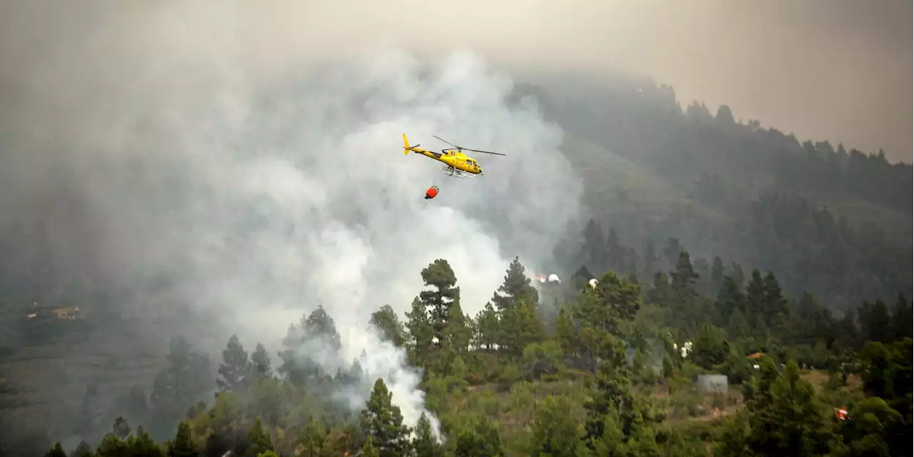 Feux de forêts : un incendie progresse rapidement à la frontière entre la France et l'Espagne