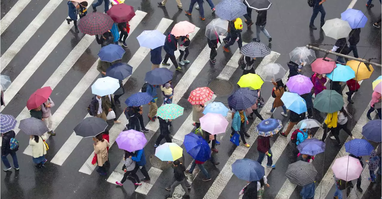 Cette drache qui n'en finit plus: 3 impacts du réchauffement climatique sur la pluie