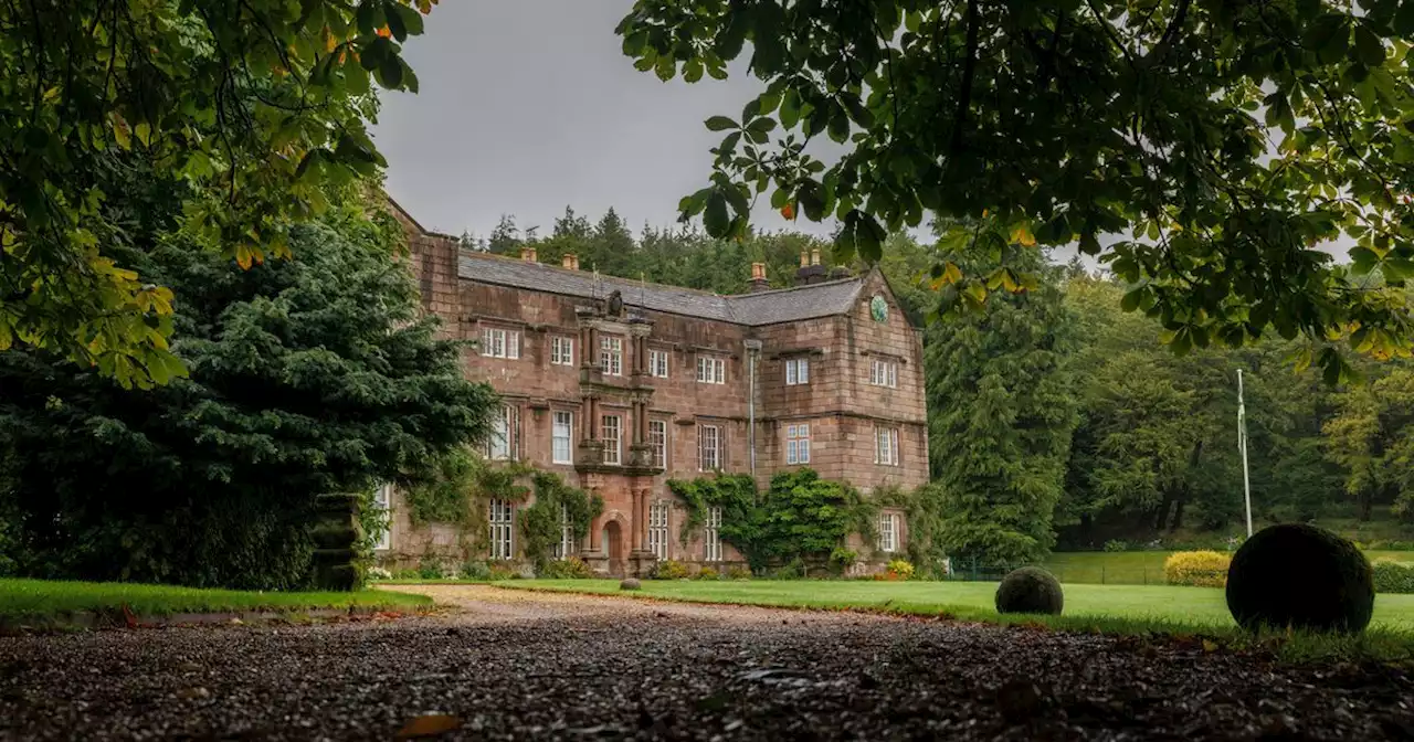 Cute tearoom hidden in stunning grounds of 500-year-old stately home