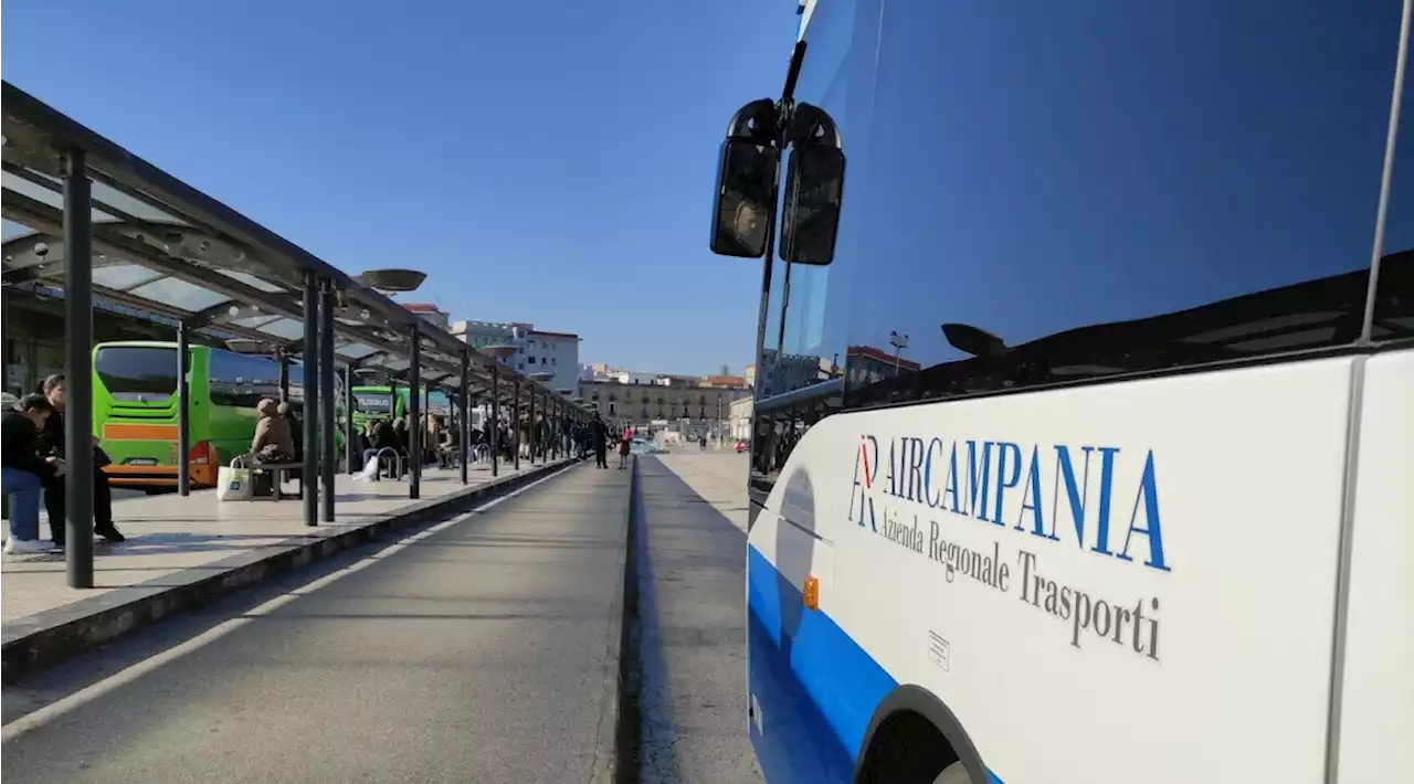 Avellino, paura in autostrada: lite sul bus, autista-eroe salva 70 passeggeri