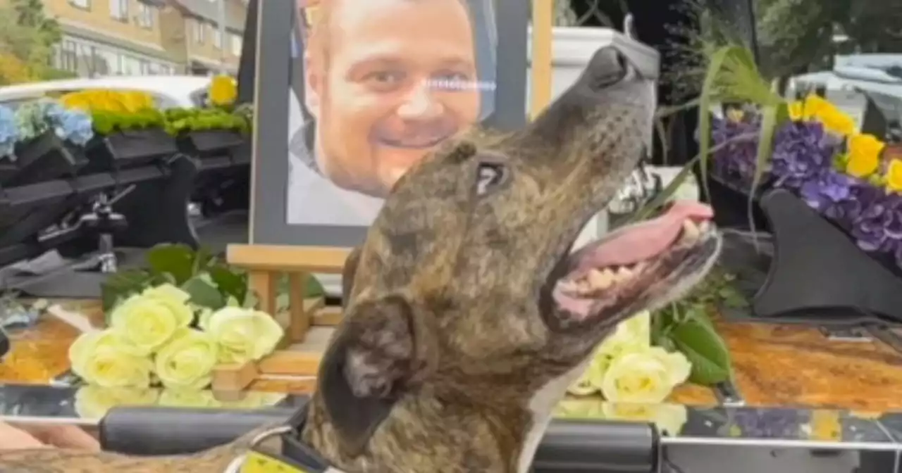 'His best friend was by his side': Dog leads funeral procession for late owner