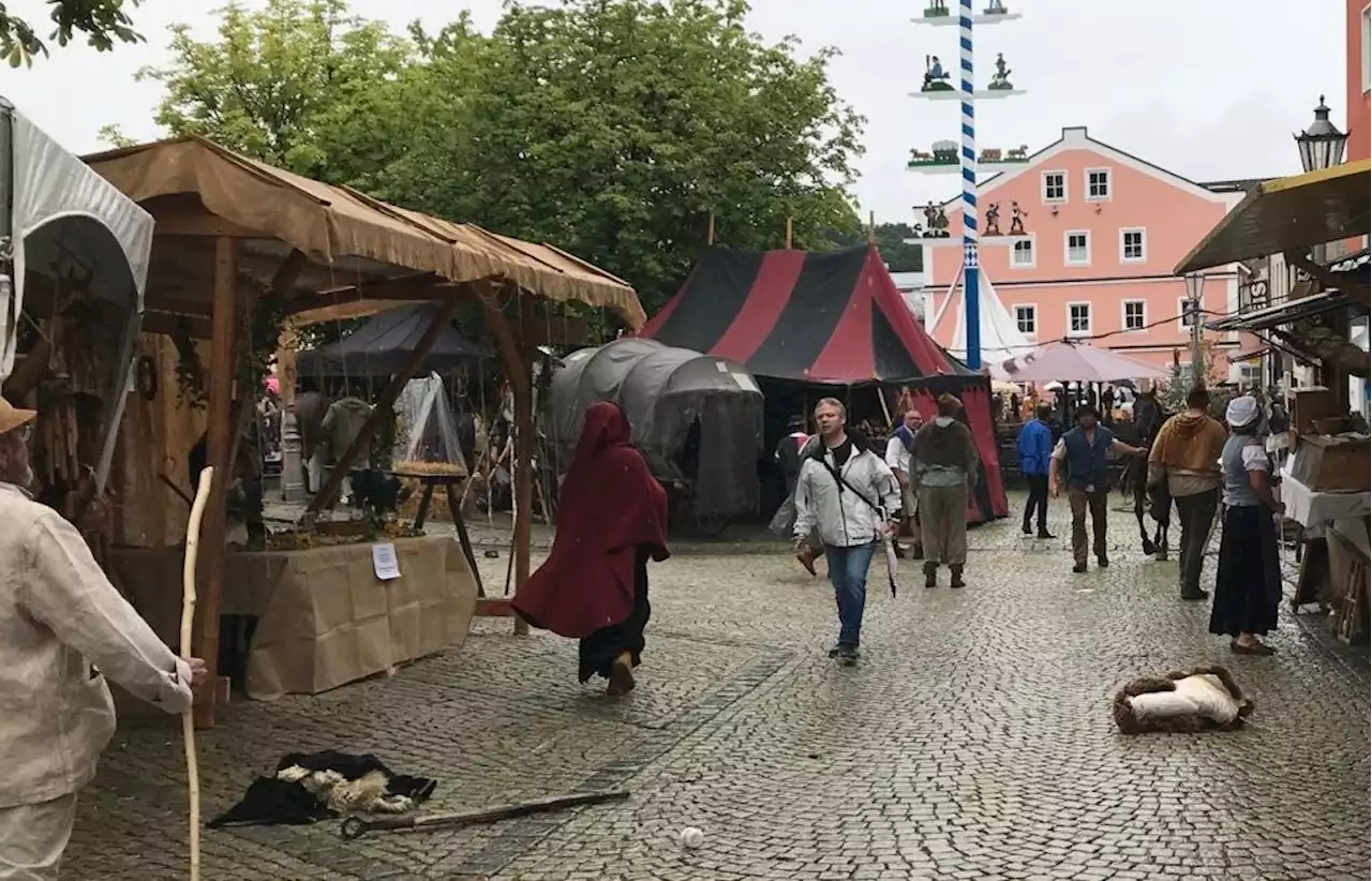 Pferde gehen durch: In vollem Galopp durch das Säumerfest in Grafenau - Ein Tier eingeschläfert