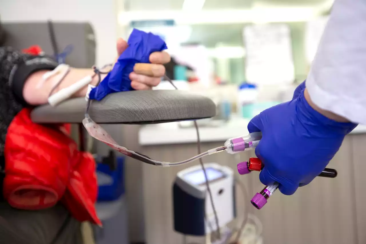 FDA policy allowing more gay and bisexual men to donate blood to go into effect Monday