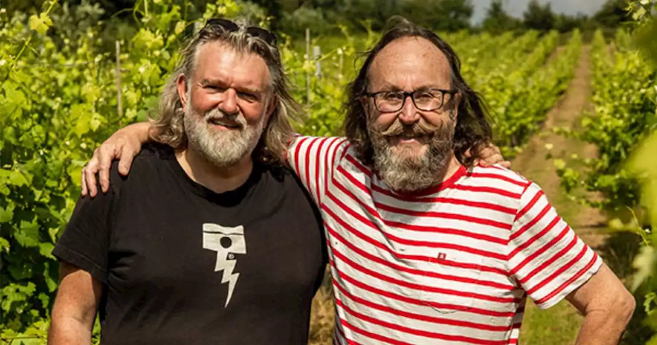 Hairy Bikers 'delighted' as they announce career update