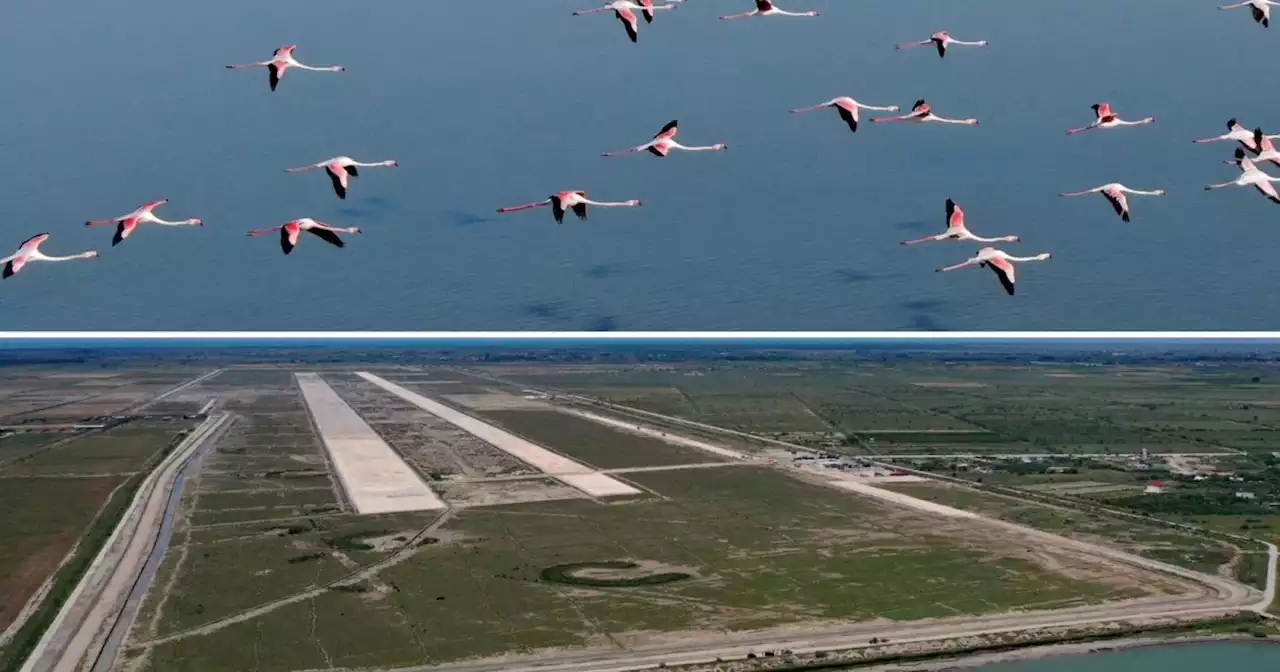 Vögel oder Touristen: Wer darf hier landen?