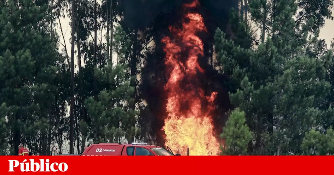 Fogo provocou seis feridos ligeiros em Castelo Branco e Proença-a-Nova