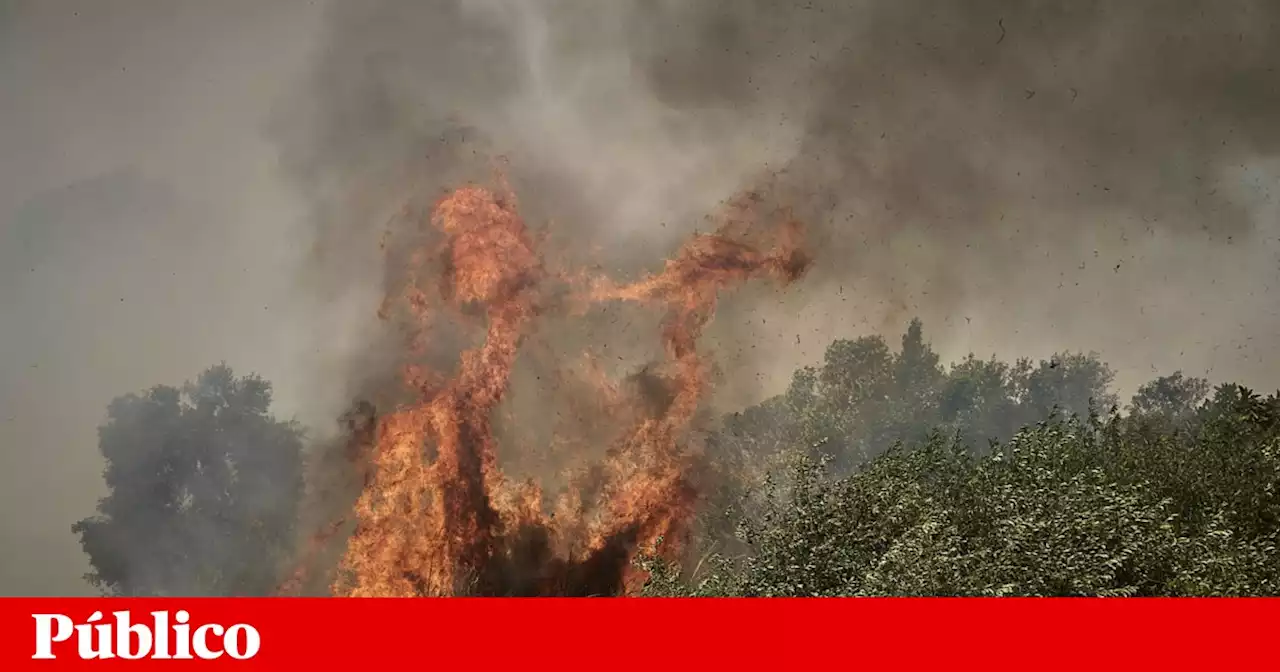 Incêndios: quase 200 operacionais combatem chamas em Leiria