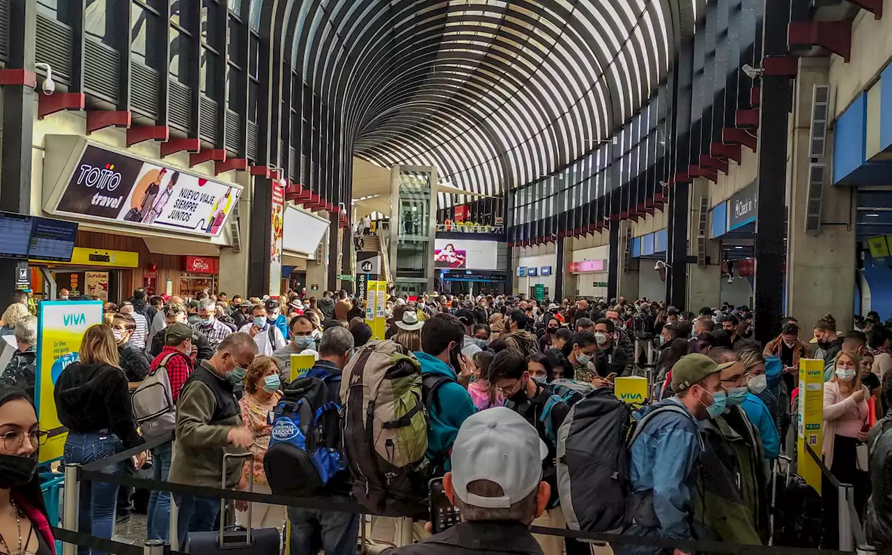 Aerolínea está dichosa en Colombia y destapó millonarias ganancias; competencia, atenta - Pulzo