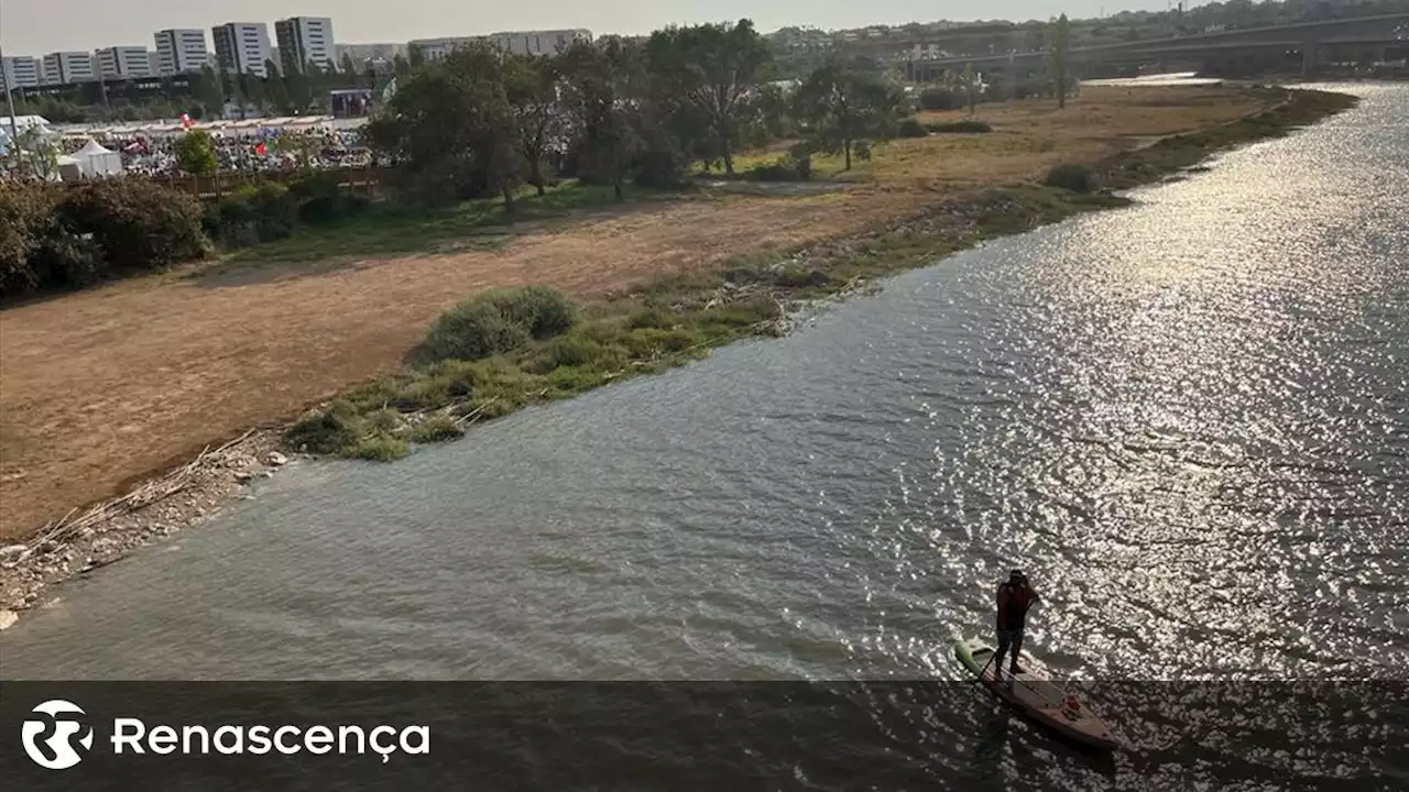 Homem desce Rio Trancão em prancha de paddle para ver o Papa - Renascença