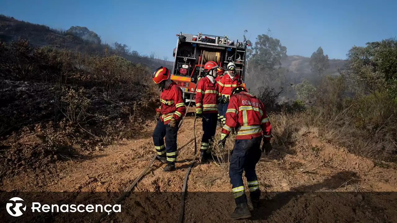 Parque de campismo evacuado em Odemira devido a incêndio - Renascença