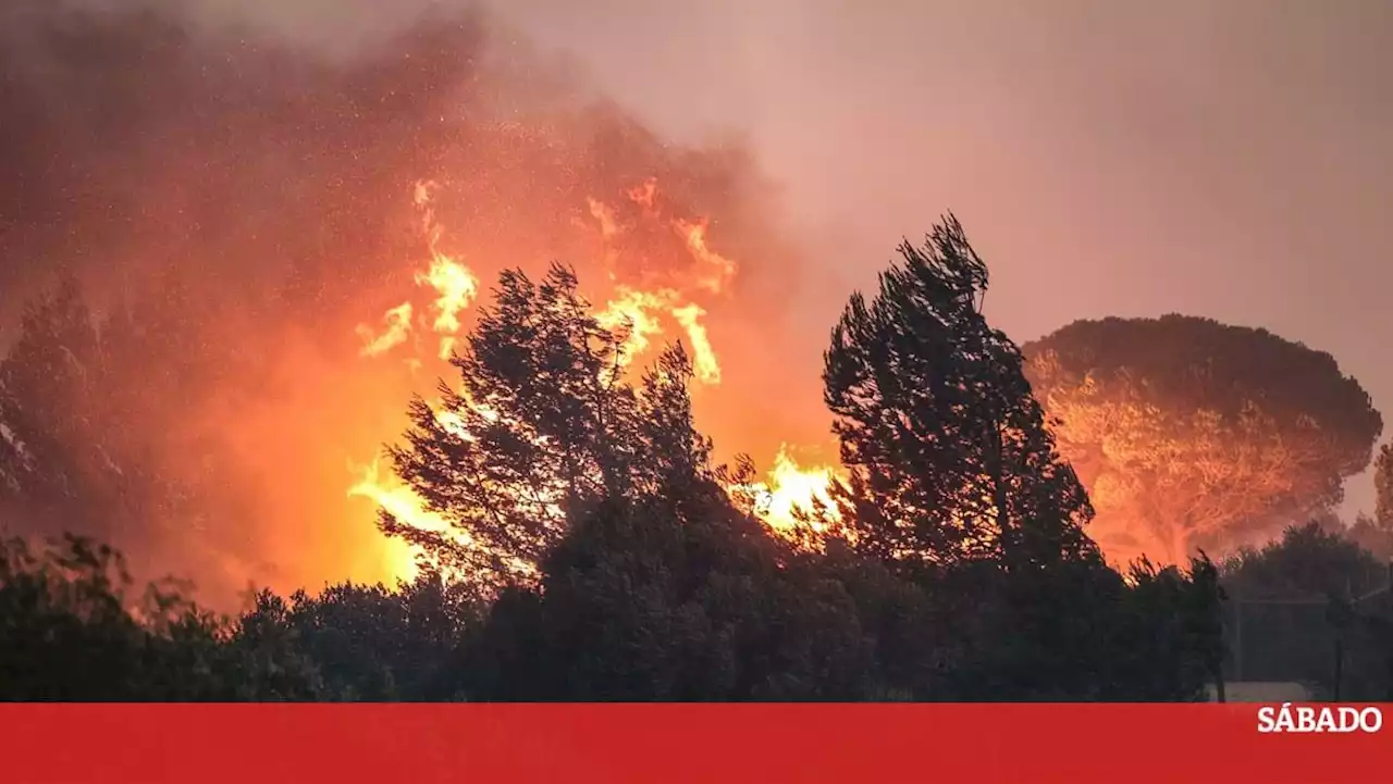 Mais de 500 bombeiros combatem fogo em Castelo Branco dificultado pelo vento