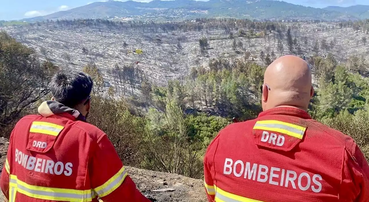 Mais de 180 operacionais combatem chamas em Odemira