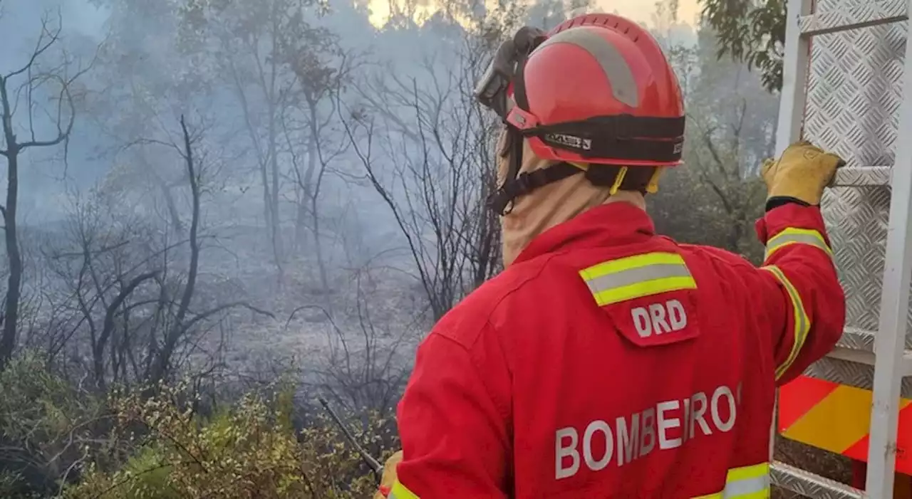 Quase 300 operacionais combatem chamas em incêndio em Leiria