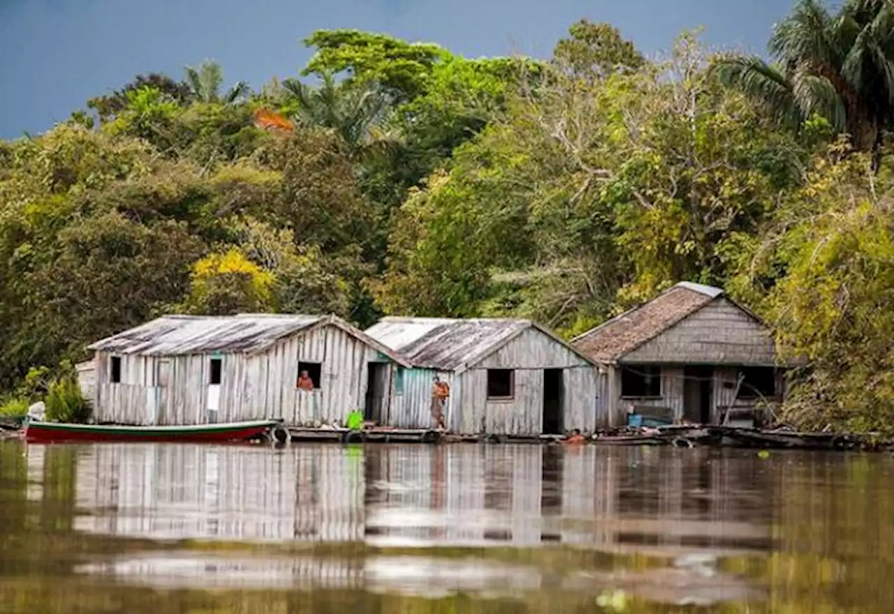 Diálogos amazônicos: debates que antecedem cúpula começam nesta 6ª feira - SBT News