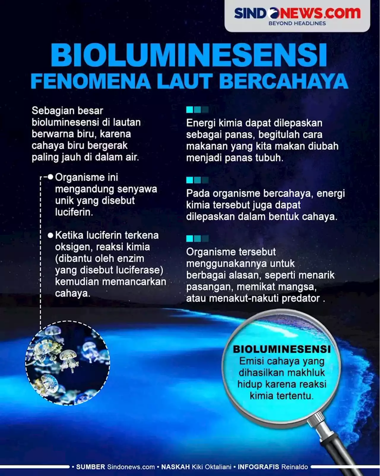 Bioluminesensi, Fenomena Laut Bercahaya Bak Film Avatar