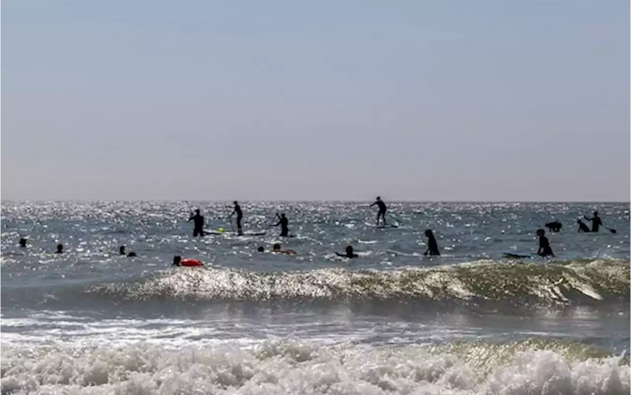 Acqua di mare, perché non si può bere: ecco i danni all'organismo