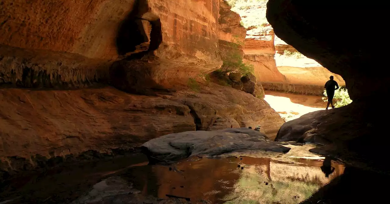 Zion National Park proposes increased fees for permits, camping