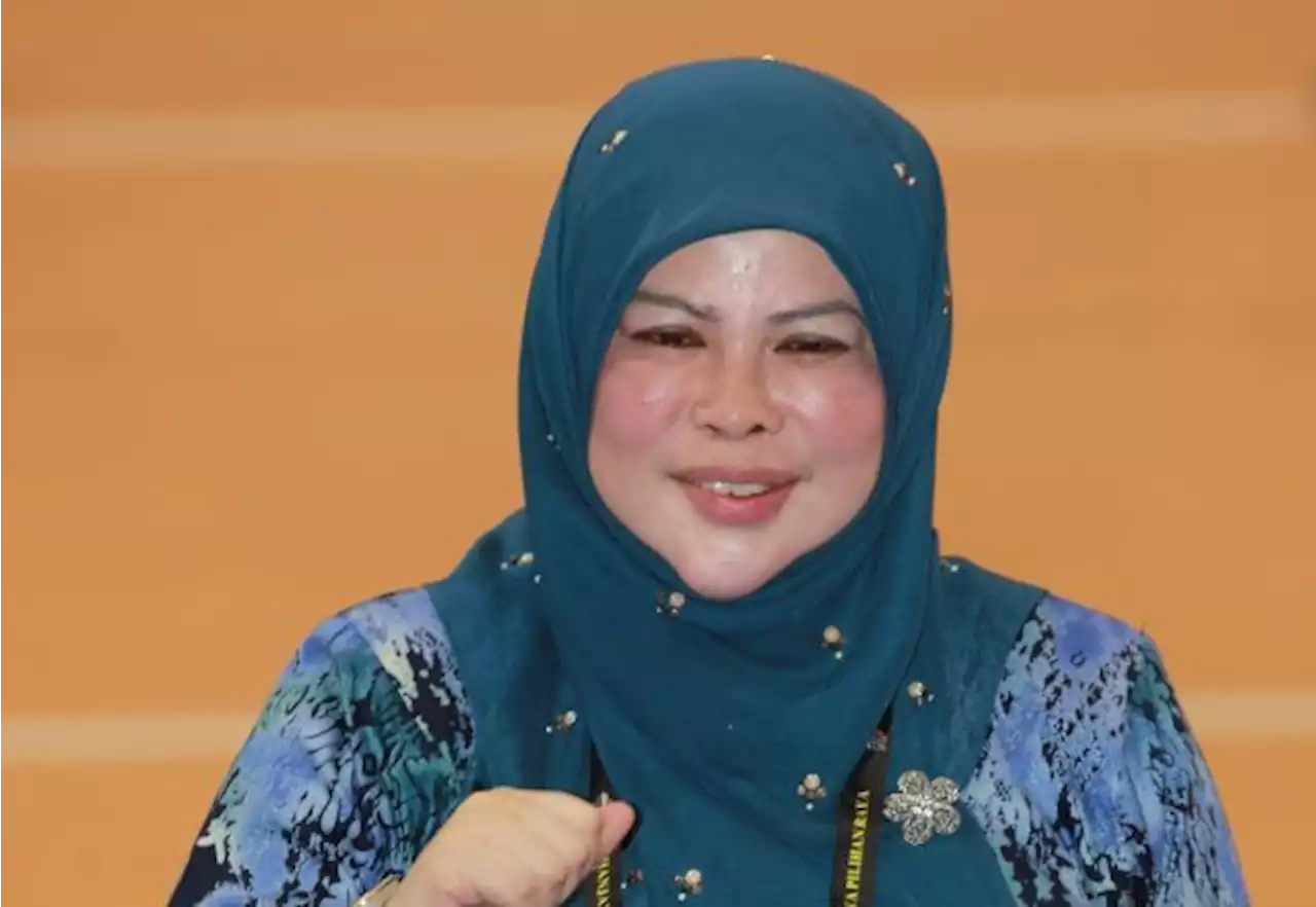 State polls: Rina Harun to focus on bread and butter issues