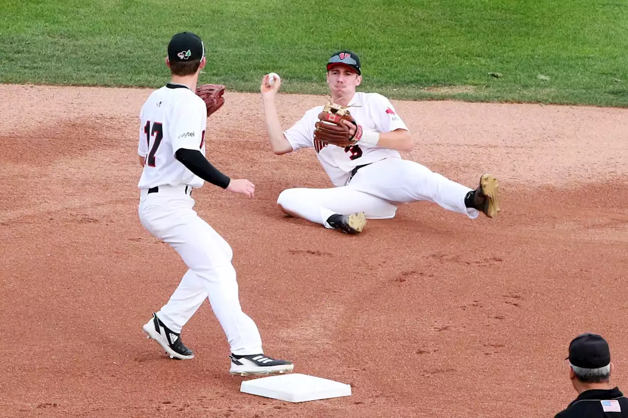 Border Cats swept by Mud Puppies