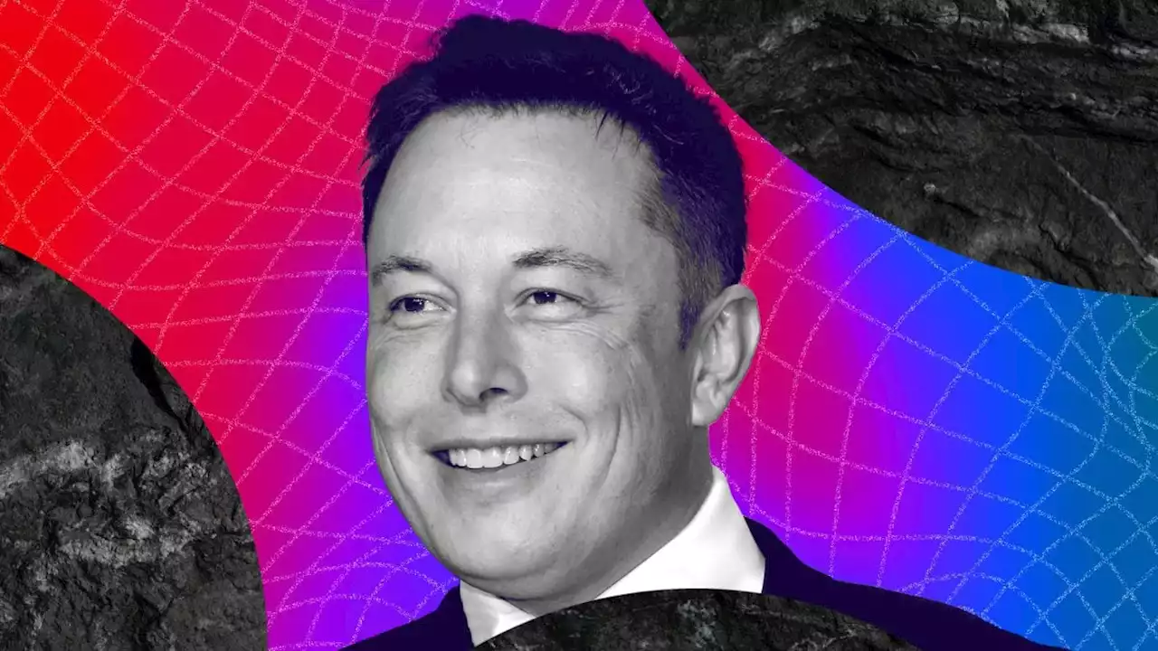 Elon Musk claims X 'never will' launch a crypto token