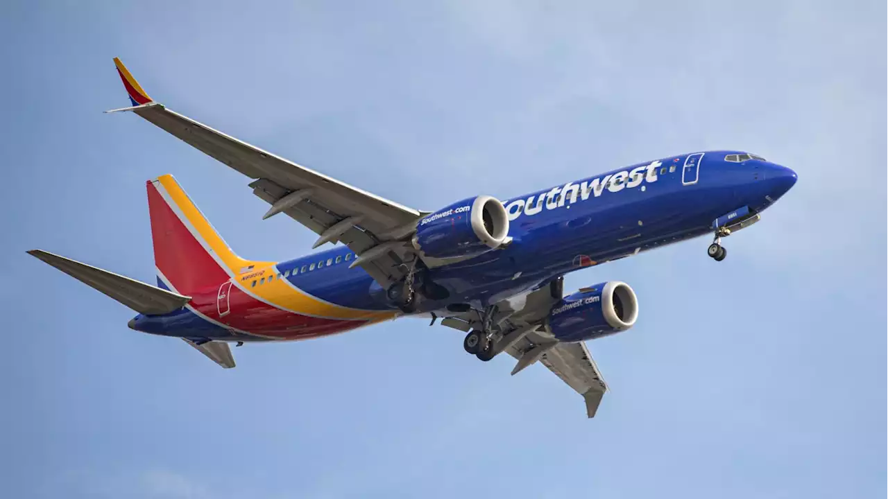 Mom Sues After Southwest Accused Her of Trafficking Black Daughter