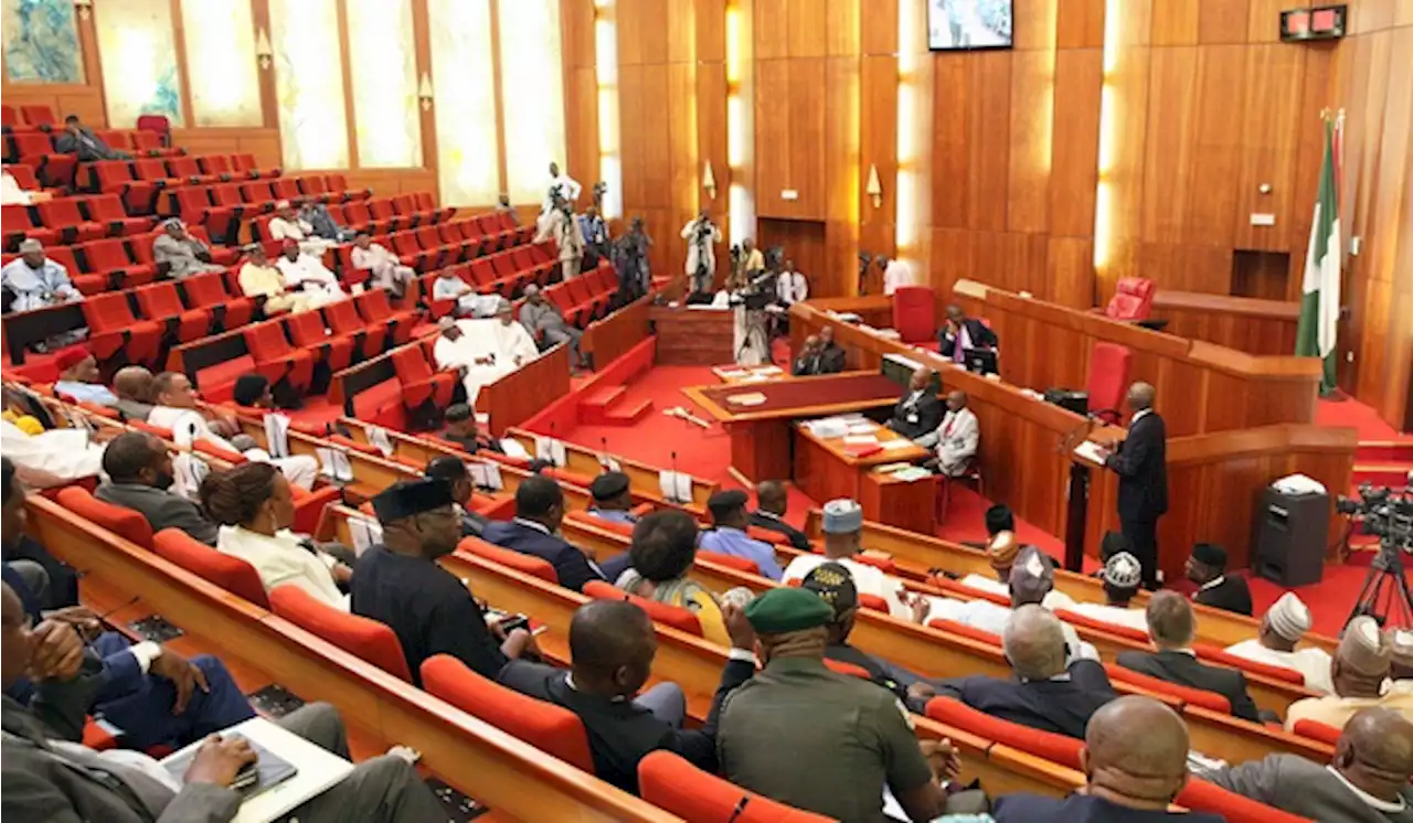 Senate jettisons ECOWAS’ proposed military action in Niger