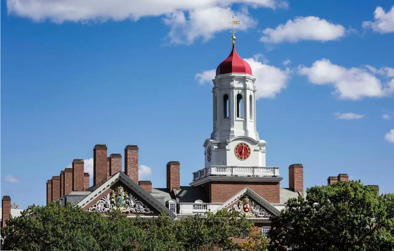 Harvard Emphasizes Experiences After Affirmative Action Ban