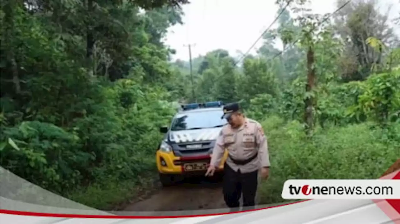 Polres Tanggamus Patroli Lokasi Masuknya Kawanan Gajah Liar di Perkebunan Warga