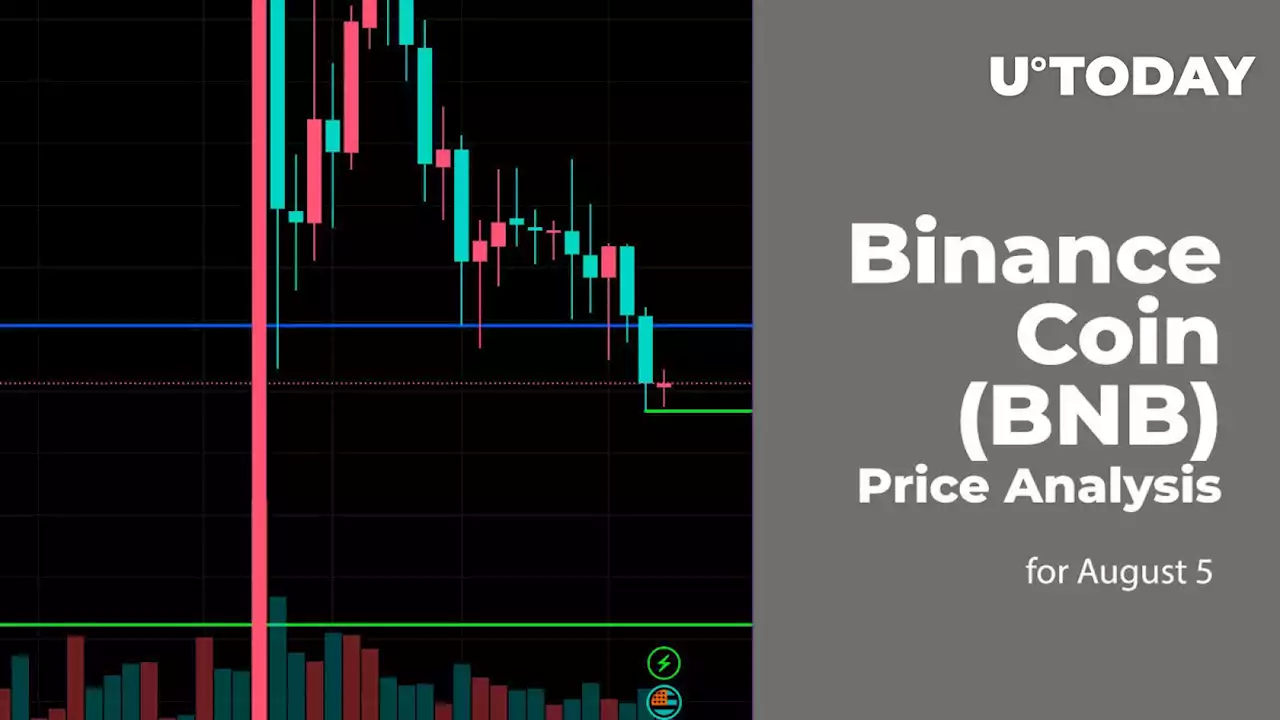 Binance Coin (BNB) Price Analysis for August 5