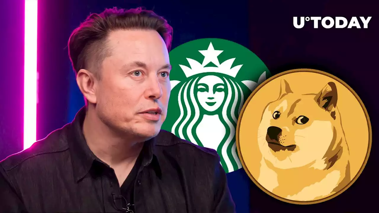 DOGE Army Responds to Elon Musk’s Starbucks Tweet, Here’s Why