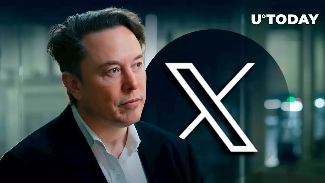 JUST IN: Elon Musk: X Will Never Launch Its Native Token