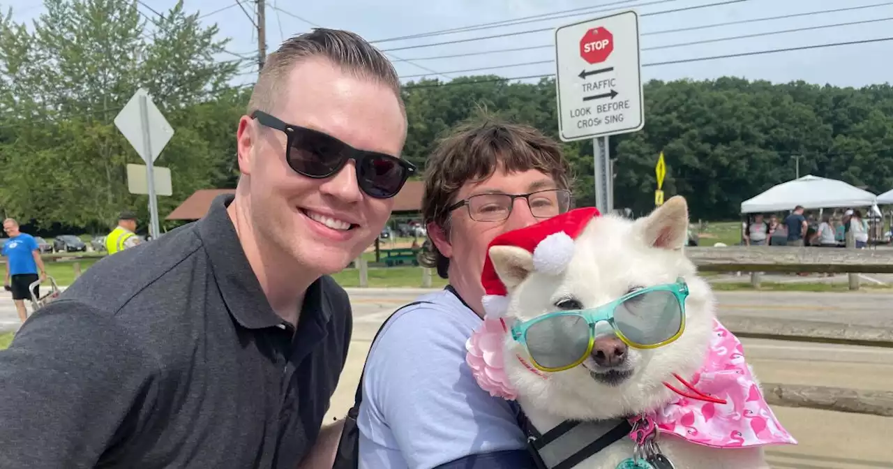 Cuteness overload: Parma dog parade and costume contest