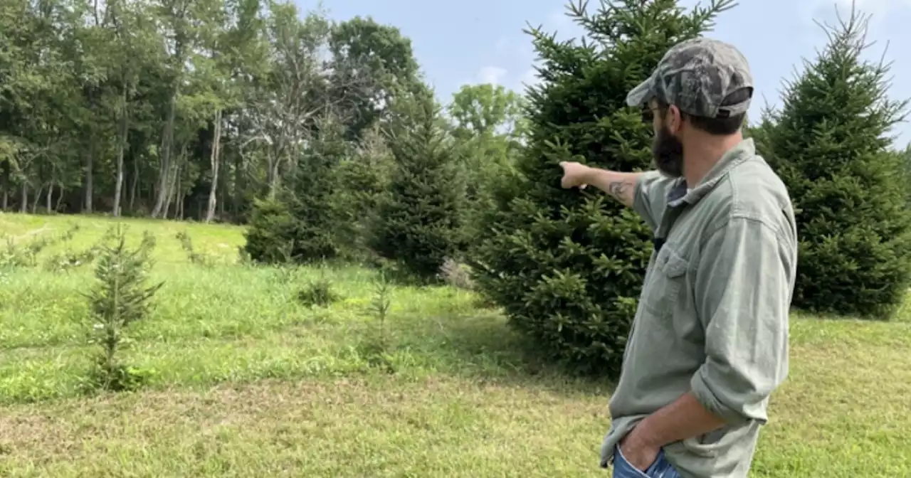 East Palestine resident with Christmas tree farm hopes railroad makes things right