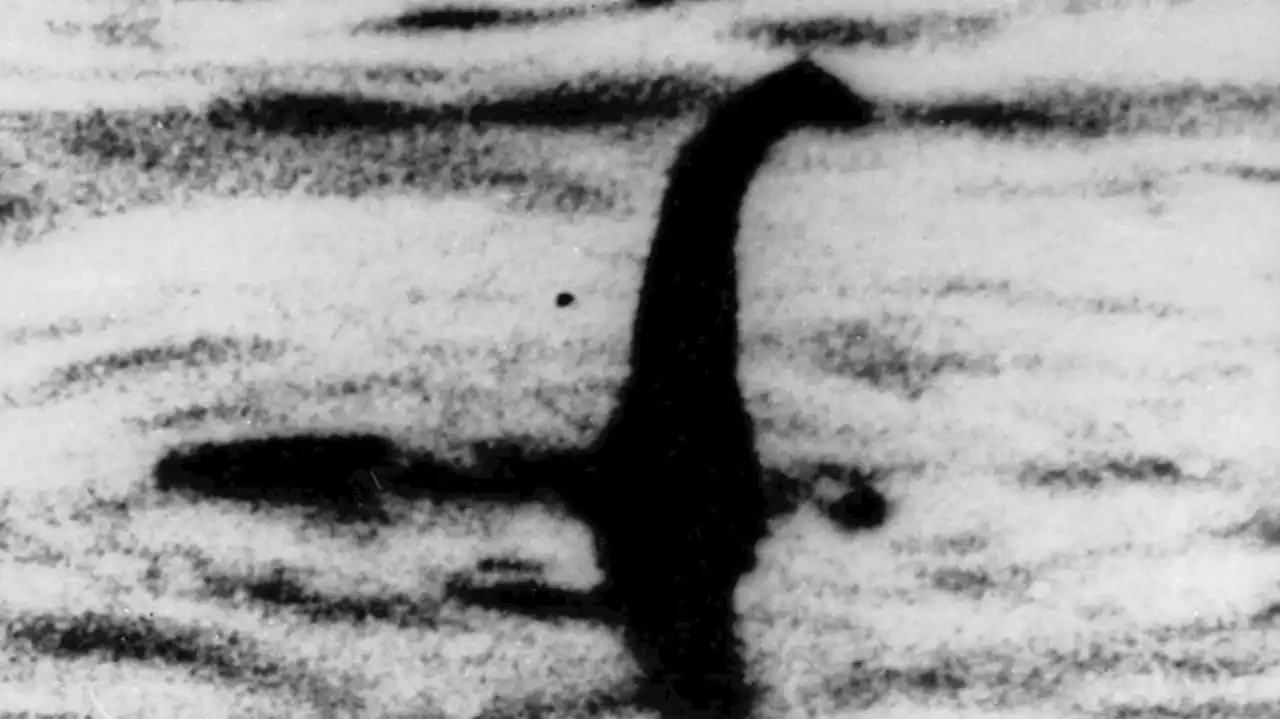 'Monster hunters' wanted in new search for the mythical Loch Ness beast