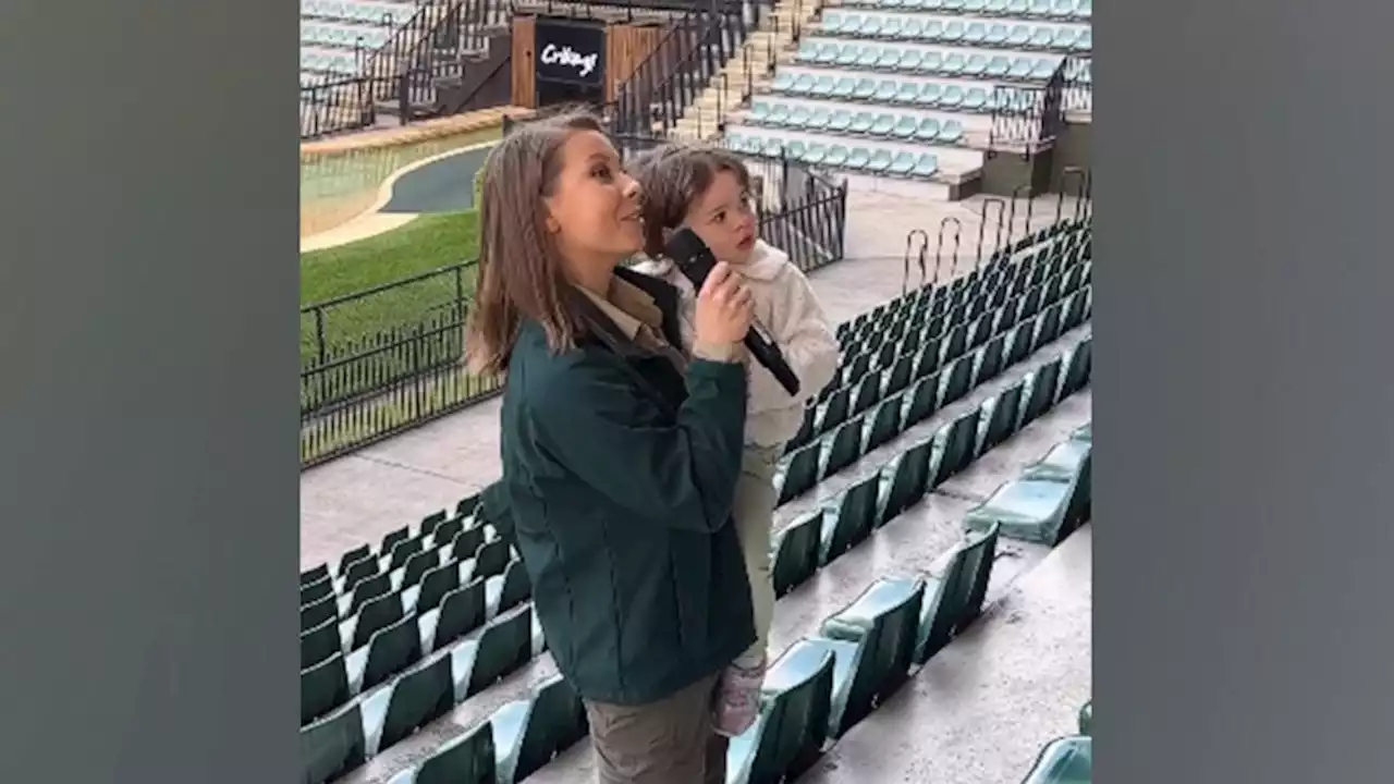 Bindi Irwin's daughter Grace Warrior makes adorable appearance at Australia Zoo staff meeting