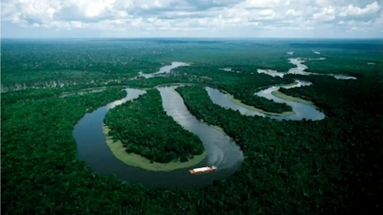 La Cumbre Amazónica de Lula busca imponer la diplomacia del cambio climático desde el sur