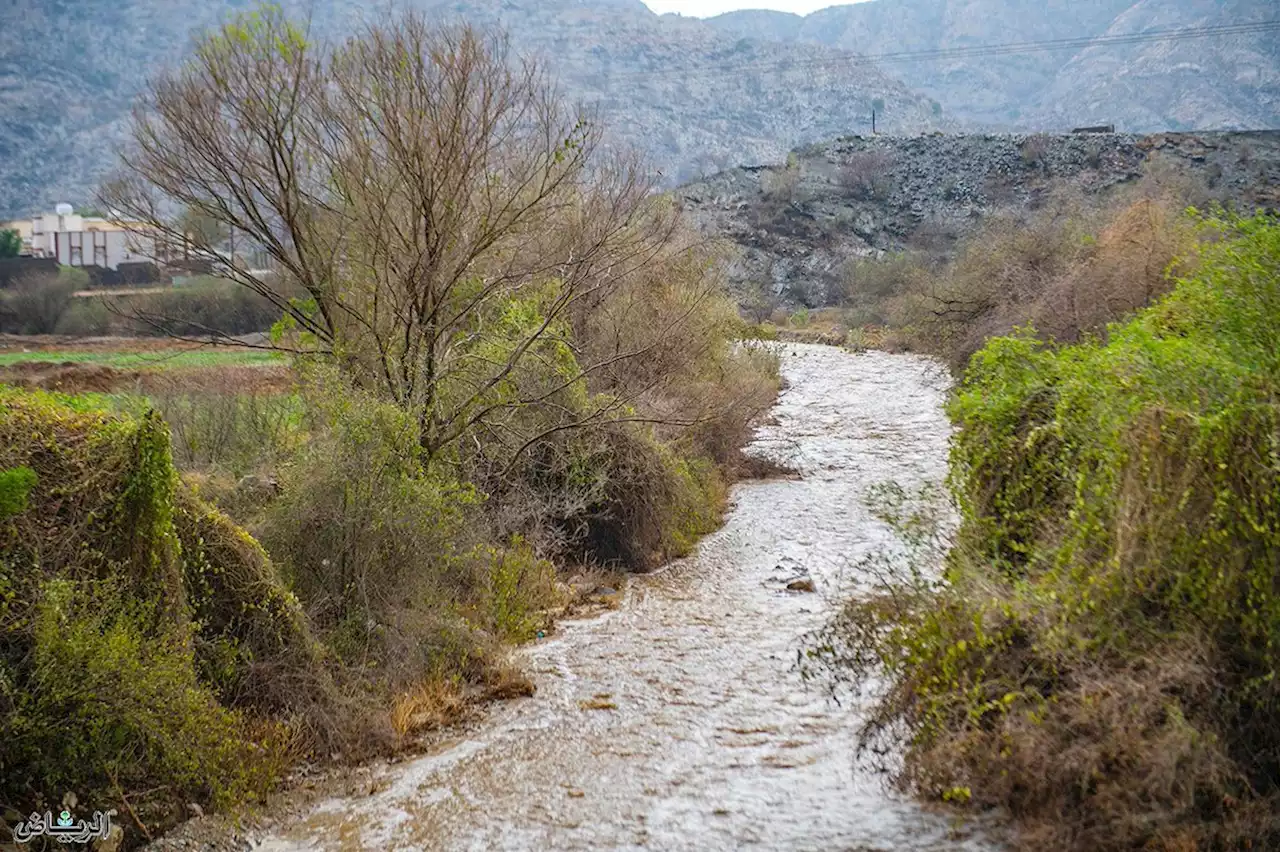 جريدة الرياض | فرصة لهطول أمطار رعدية على جازان وعسير والباحة