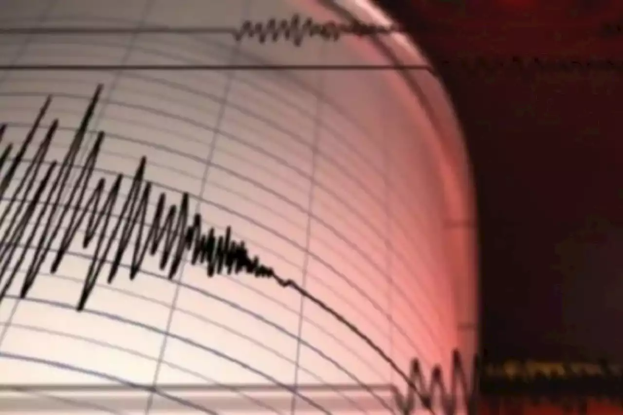 Gempa magnitudo 4,6 guncang Pulau Panjang NTB