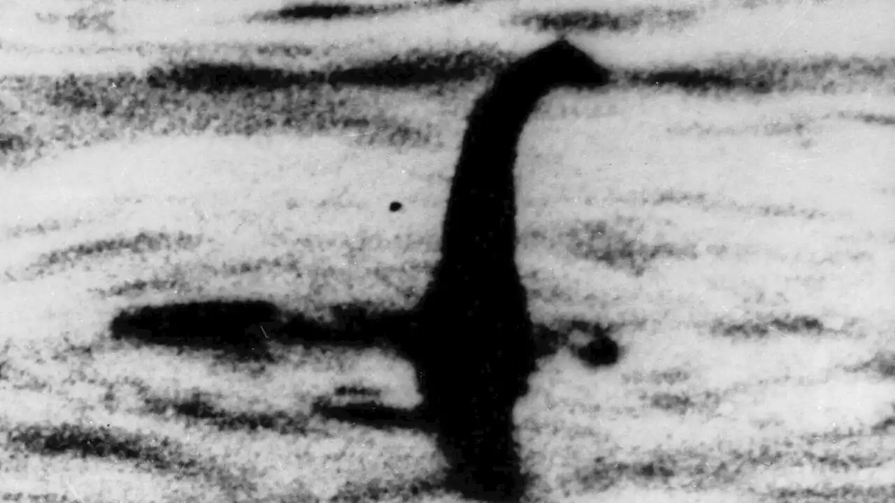 'Monster hunters' wanted in new search for the mythical Loch Ness beast