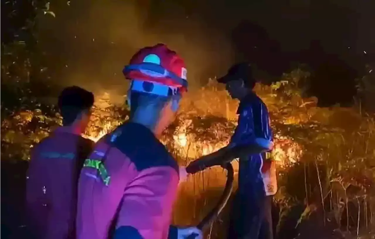 30 Hektare Lahan Gambut di Kabupaten Kapuas Diduga Sengaja Dibakar