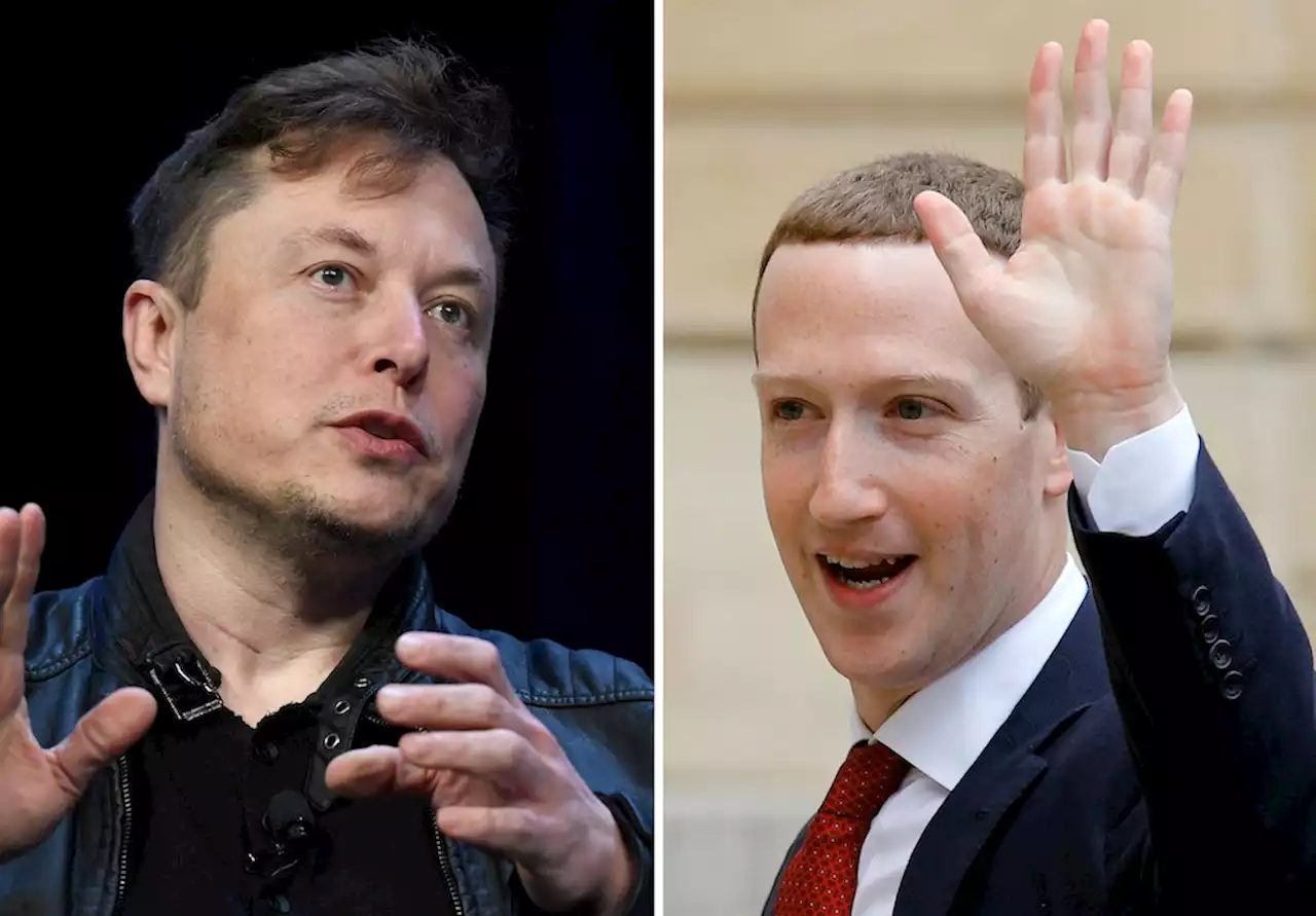 Käfigkampf zwischen Musk und Zuckerberg: Livestream angekündigt