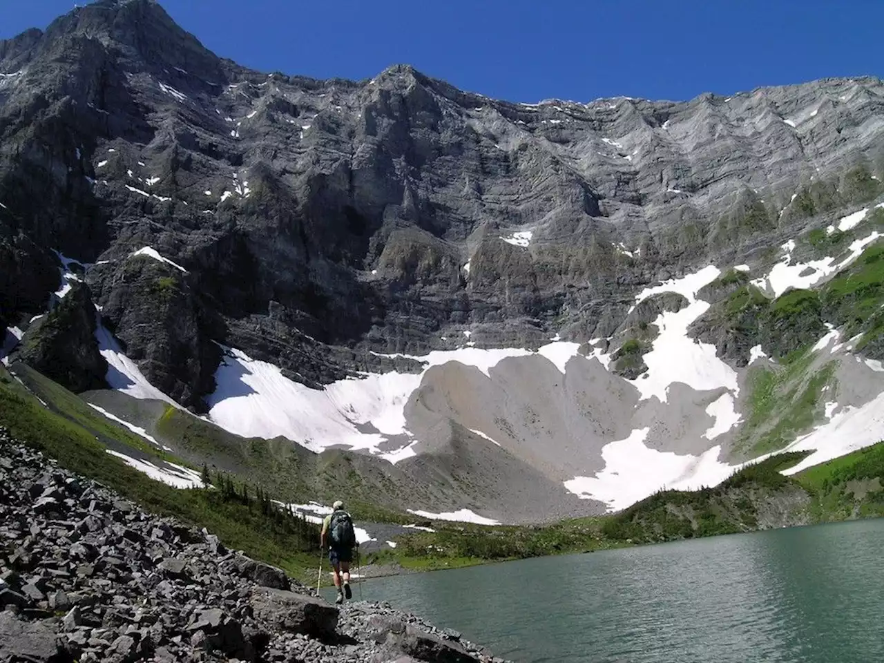 Injured grizzly forces K-Country trail closures