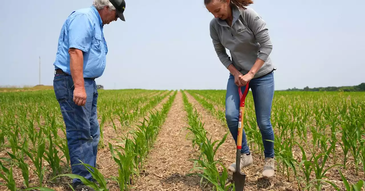 Op-ed: With the Midwest mired in drought, Congress must help farmers cope