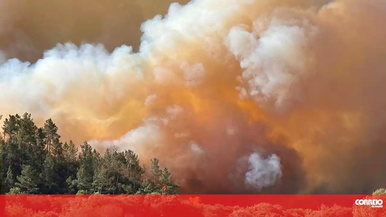 Oito meios aéreos combatem incêndio com duas frentes ativas em Odemira