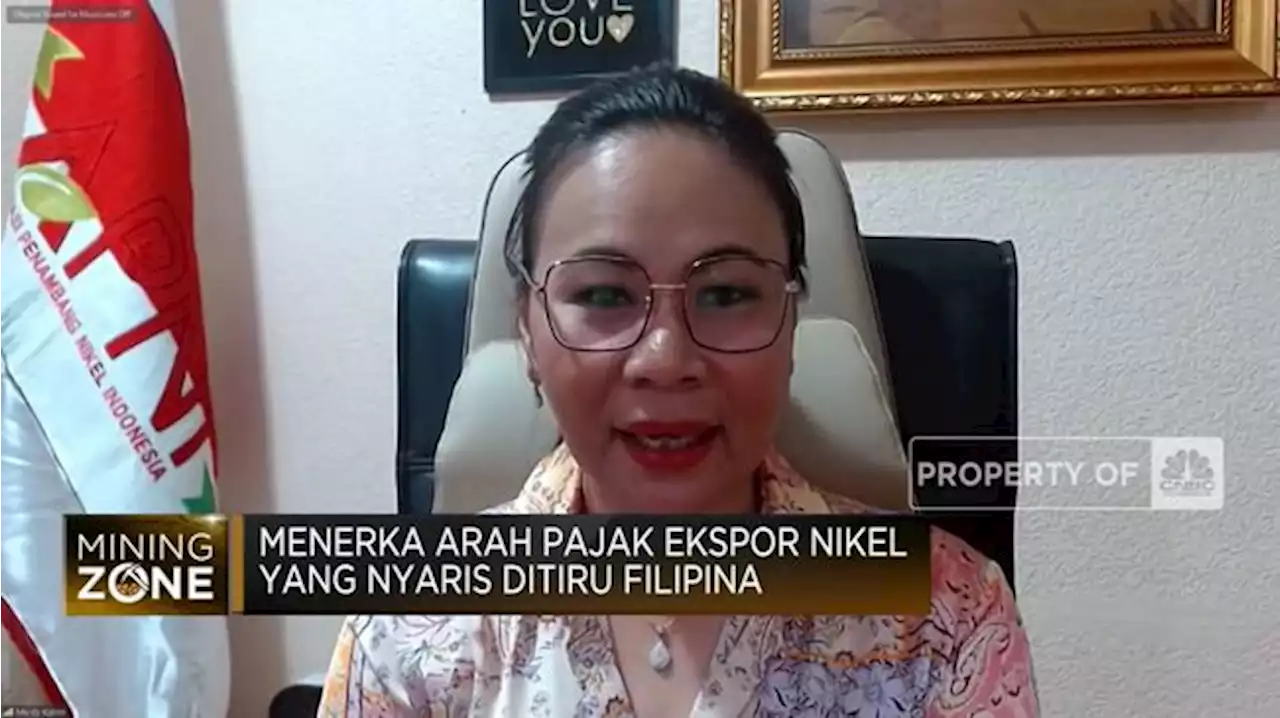 Pemerintah Didesak Segera Terbitkan Indeks Harga Nikel