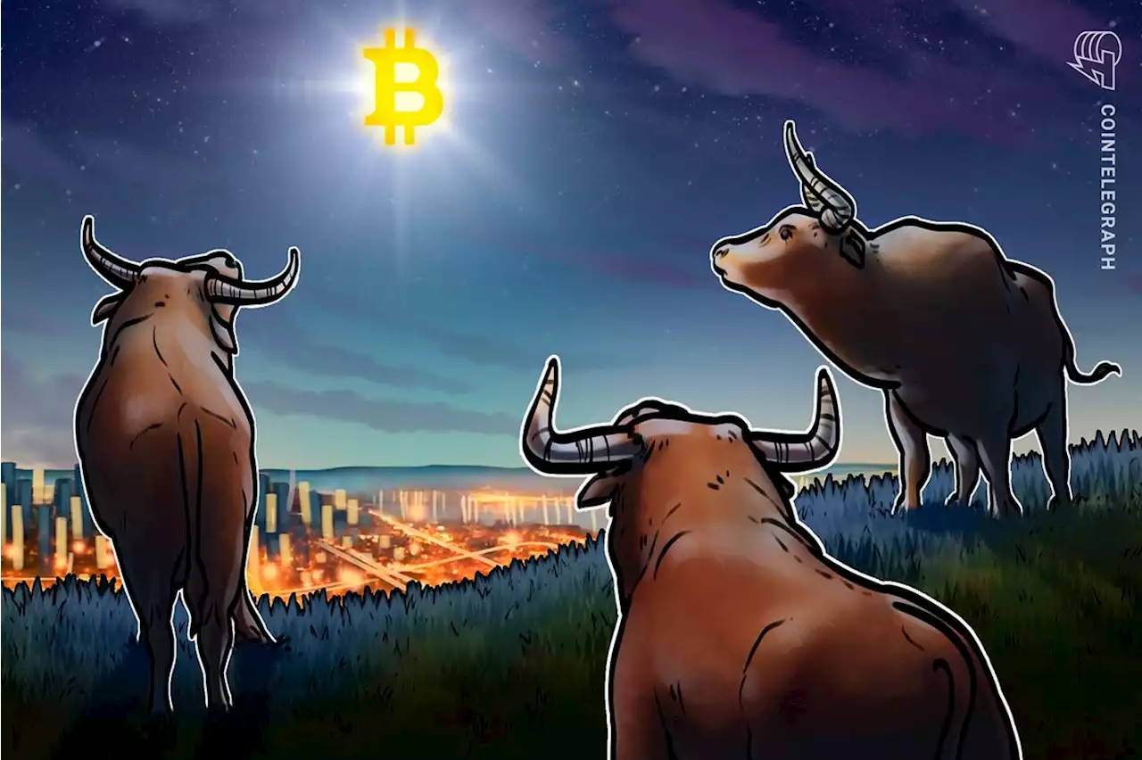 Bitcoin price can go ‘full bull’ next month if 200-week trendline stays