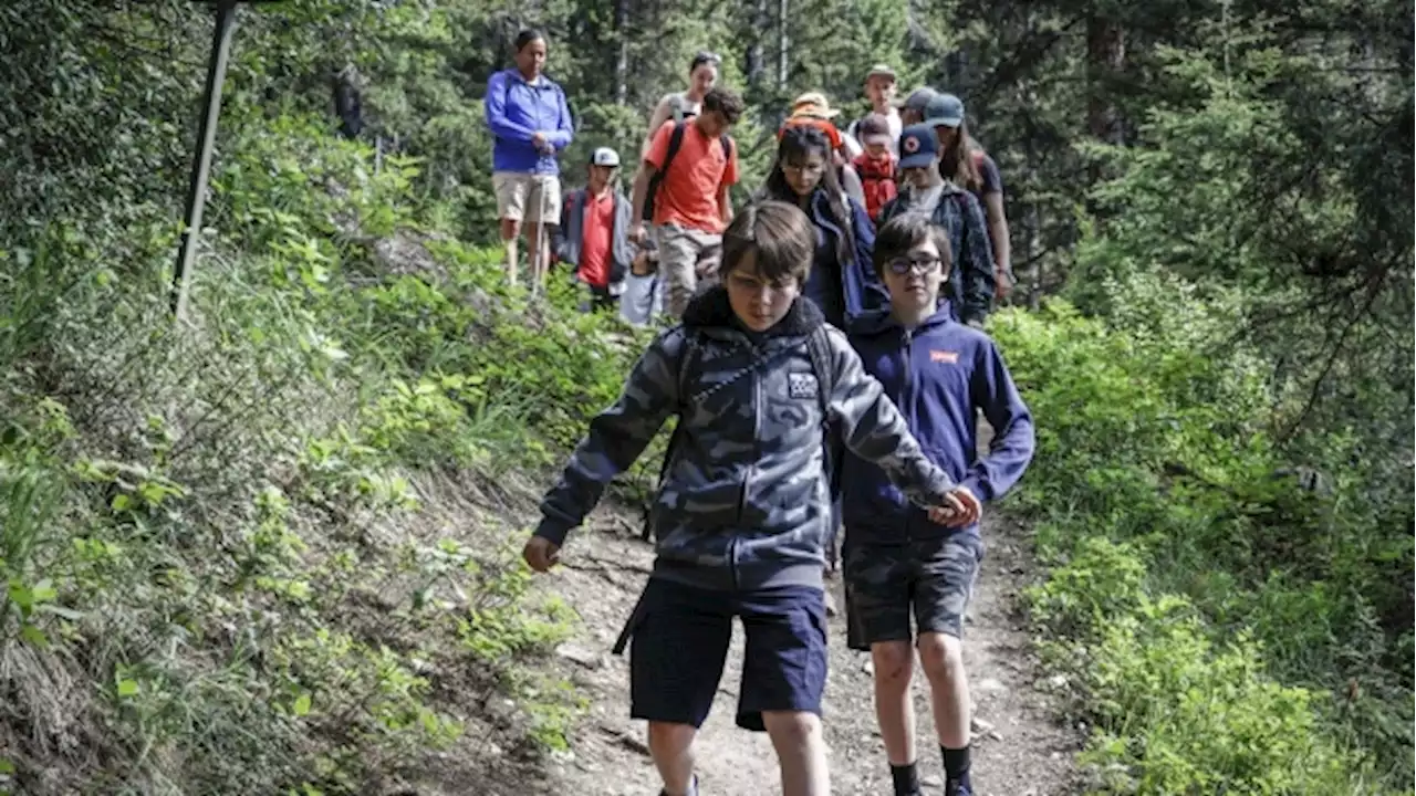 'Adult field trip': Program teaches young people about reconciliation, climate change