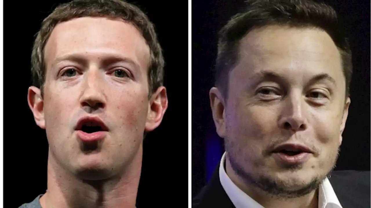 Musk says his cage fight with Zuckerberg will be streamed on X