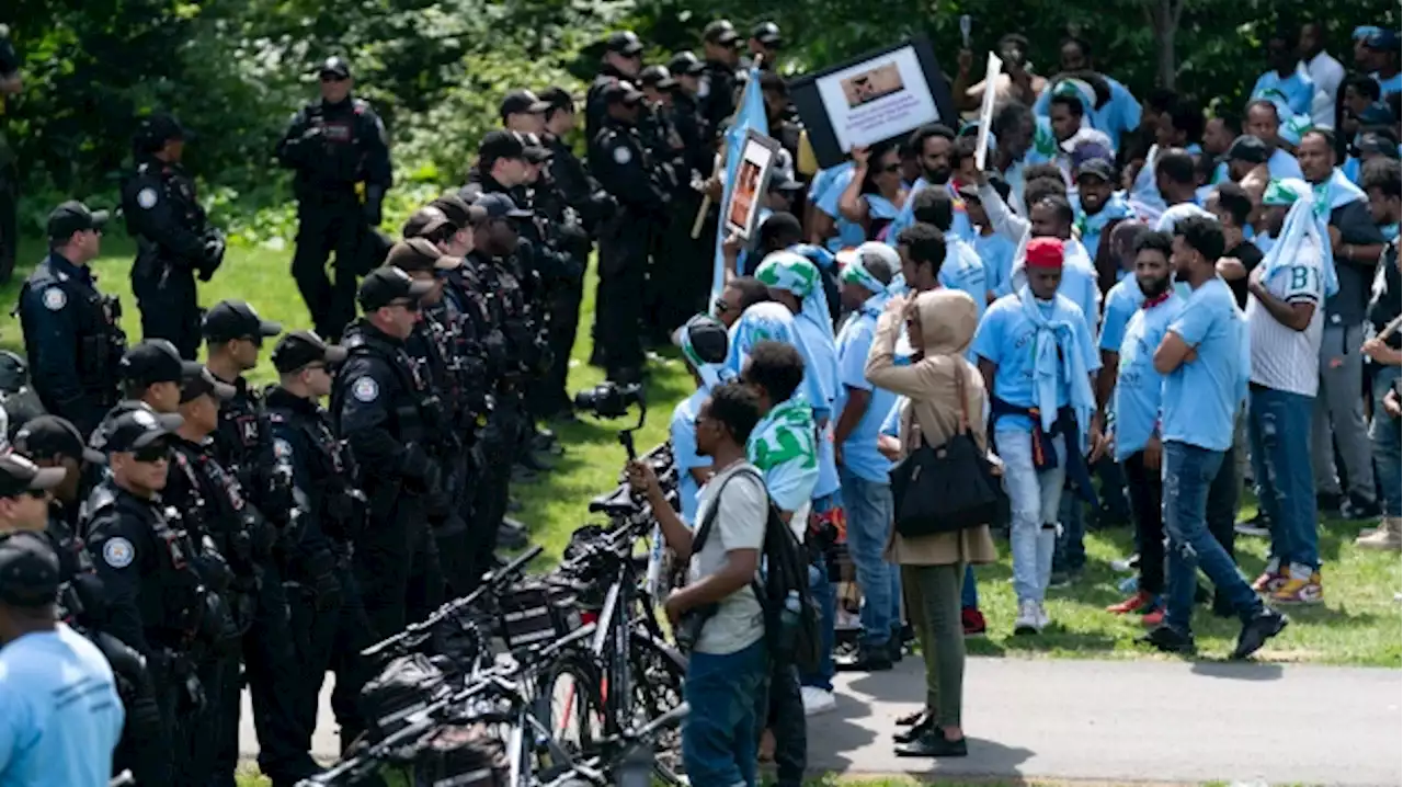 Park permit revoked for Toronto Eritrean festival after violent protest leaves 9 injured