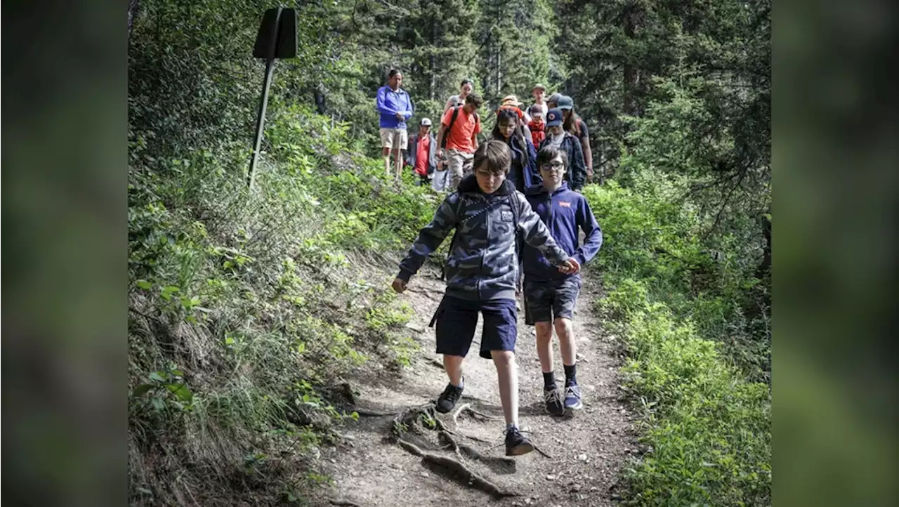 'Adult field trip': Program teaches young people about reconciliation, climate change